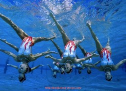 看球通-世俱杯赛事安检流程与安全须知指南