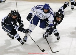 看球通-世俱杯裁判执法技术规范更新内容与实战应用探讨