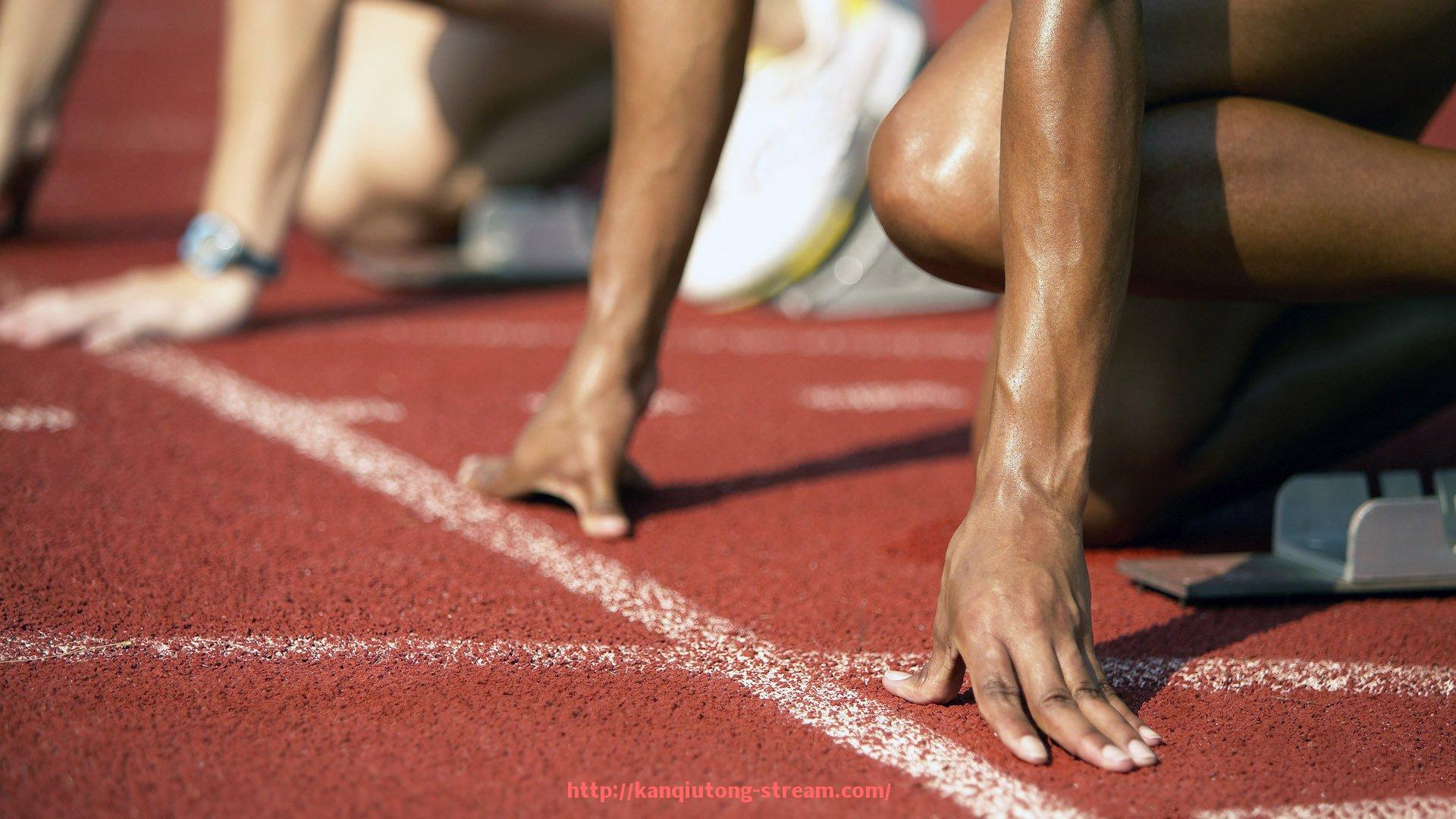 看球通-健身器材官方网站建设要点与展示内容规划建议