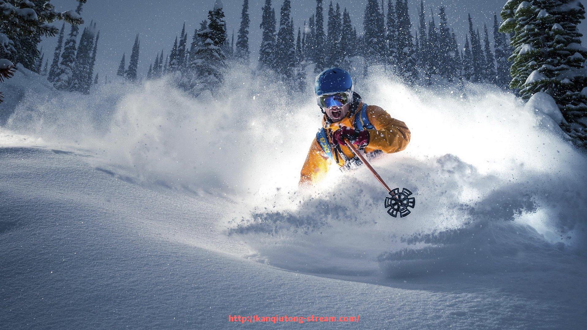 看球通-编号2360391Z的英超球员空间档案揭密